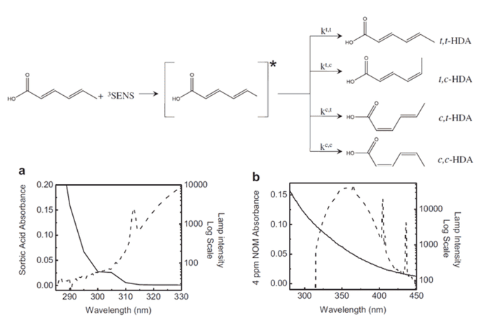 Sorbic Acid as A Probe to Stimulate Triplet State Chemistry in Photochemistry