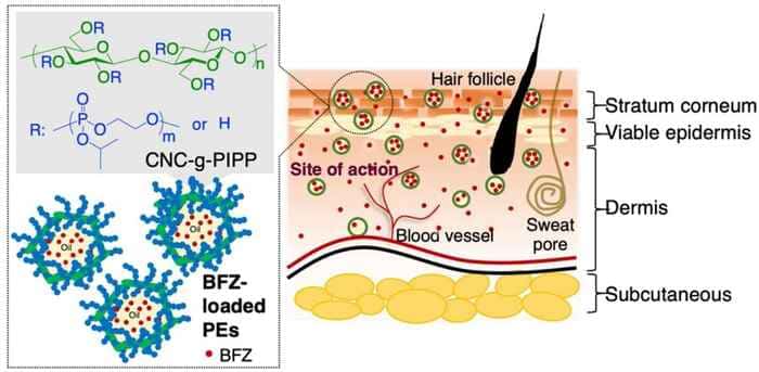Bifonazole for the Preparation of Cellulose Nanocrystal-Stabilized Oil-in-Water Emulsions to Enhance Transdermal Delivery
