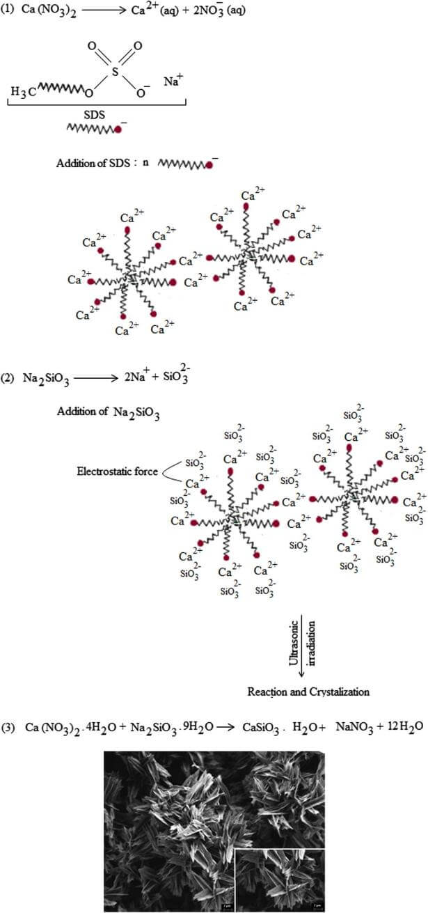 Calcium Silicate Hydrate Synthesis Employing Sodium Dodecyl Sulfate as a Surfactant
