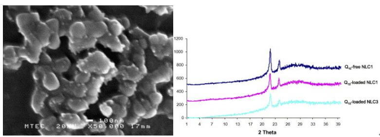 Development of Cetyl Palmitate-Based NLC for Topical Delivery of Coenzyme Q10