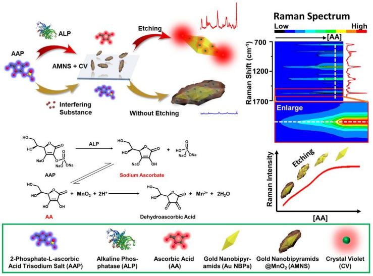 Enzyme Activity-Regulated Etching of Gold Nanobipyramid@MnO<sub>2</sub> Nanoparticles for ALP Assay in the Presence of Sodium 2-Phosphate-L-ascorbate