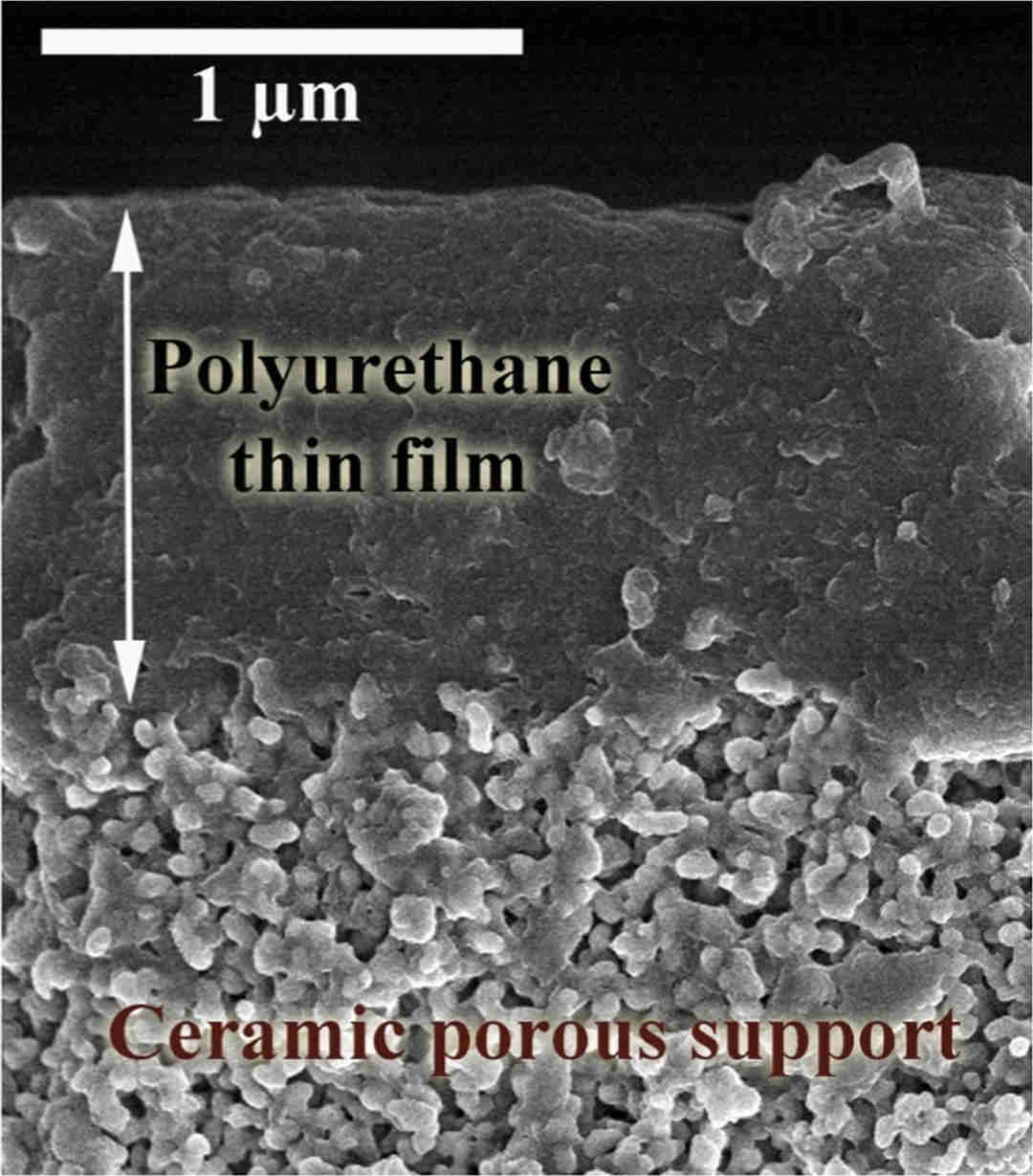 Polytetramethylene Glycol for the Synthesis of Polyurethane-Based Gas Separation Membranes