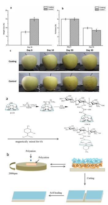 Preparation of Edible Self-healing Coatings Containing L-Menthol