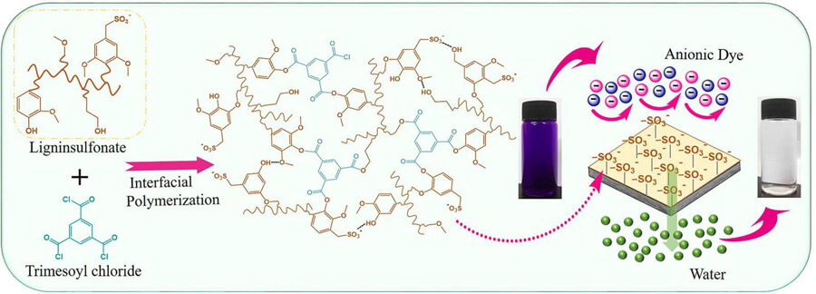 Preparation of Negatively Charged SLS/TMC Nanofilms Using Sodium Lignosulfonate