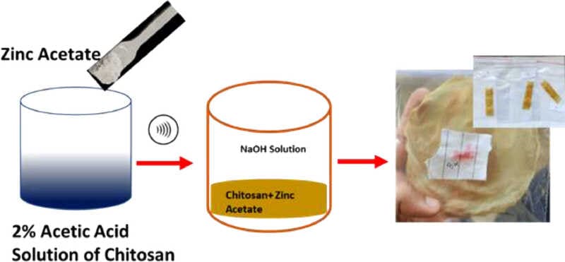 Zinc Acetate Used for the Preparation of Chitosan-ZnO Nanocomposite Films via a Green In-Situ Method