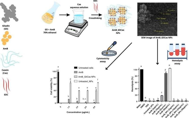 Preparation of Gliadin-Casein Nanoparticles Containing Amphotericin B as Drug Delivery System