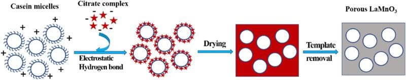 Preparation of LaMnO<sub>3</sub> Perovskite Catalyst Using Casein as a Template