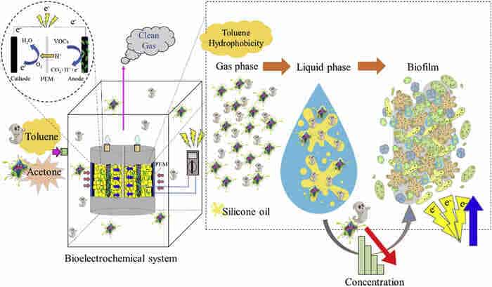Silicone Oil Used for Enhancing Mass Transfer and Microbial Degradation in Diffusion-Packed Anode Bioelectrochemical Systems