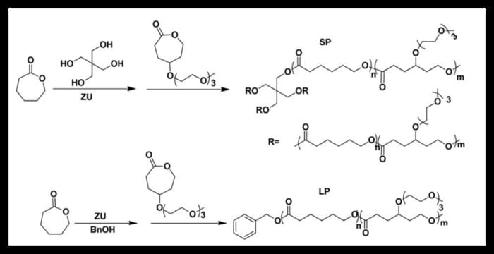 Zinc Undecylenate for the Synthesis of Linear and Star-Like Amphiphilic Diblock Copolymers for Drug Delivery Applications