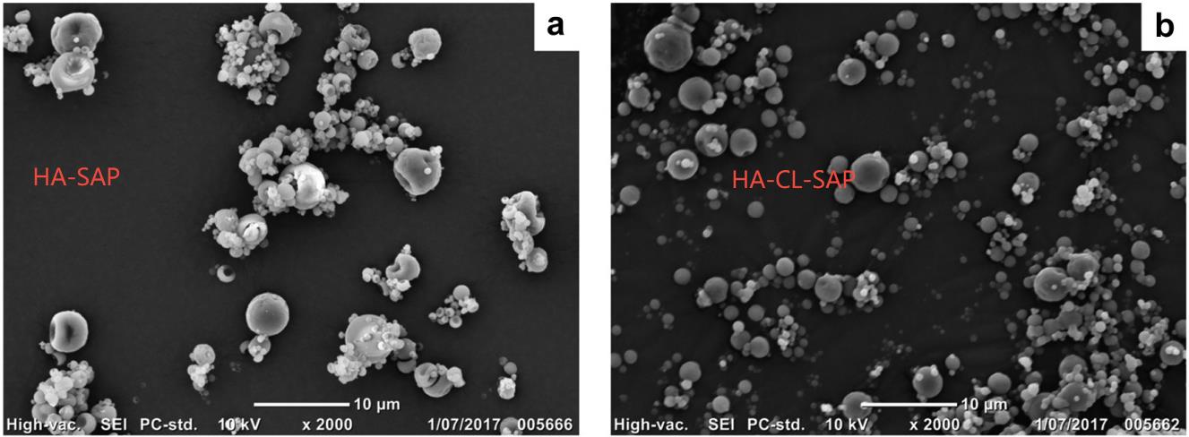 Sodium Ascorbyl Phosphate (SAP) in Inhalable Dry Powder Formulations for Anti-inflammatory and Antioxidant Therapy