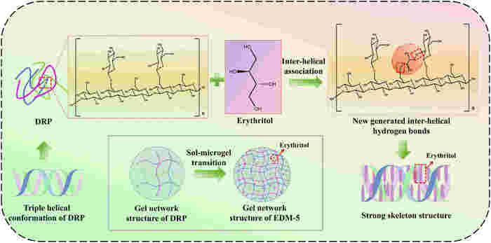 Erythritol is Used for the Preparation of DRP-Based Microgel via Thermo-Induced Gelation