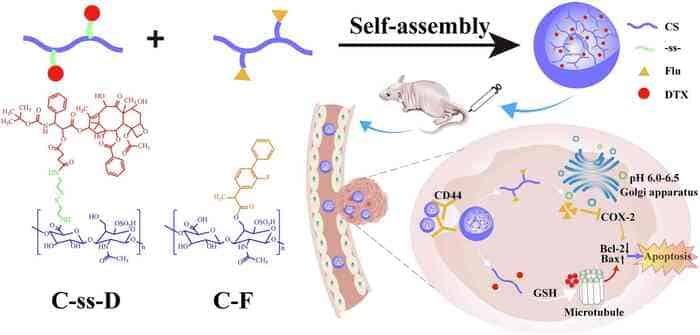Chondroitin Sulfate Used for the Preparation of Dual-Drug, Dual-Targeting Micelles via Ester and Disulfide Bond Grafting Reactions