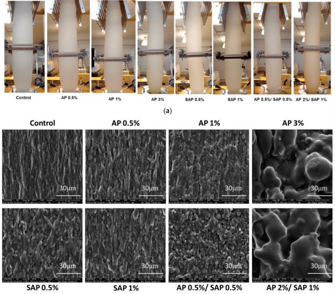 Sodium Ascorbyl Phosphate (SAP) as an Antioxidant for Enhancing Biodegradable Active Packaging Properties