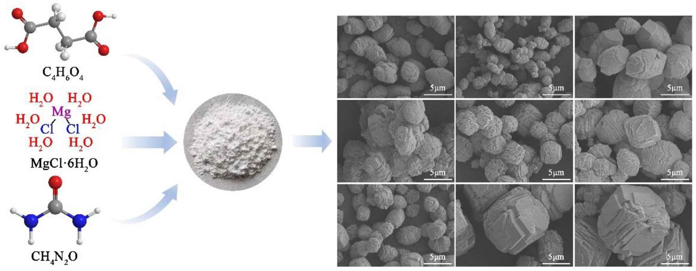 Succinic Acid as a Crystal Modifier for Controlling the Morphology of Anhydrous Magnesium Carbonate Particles
