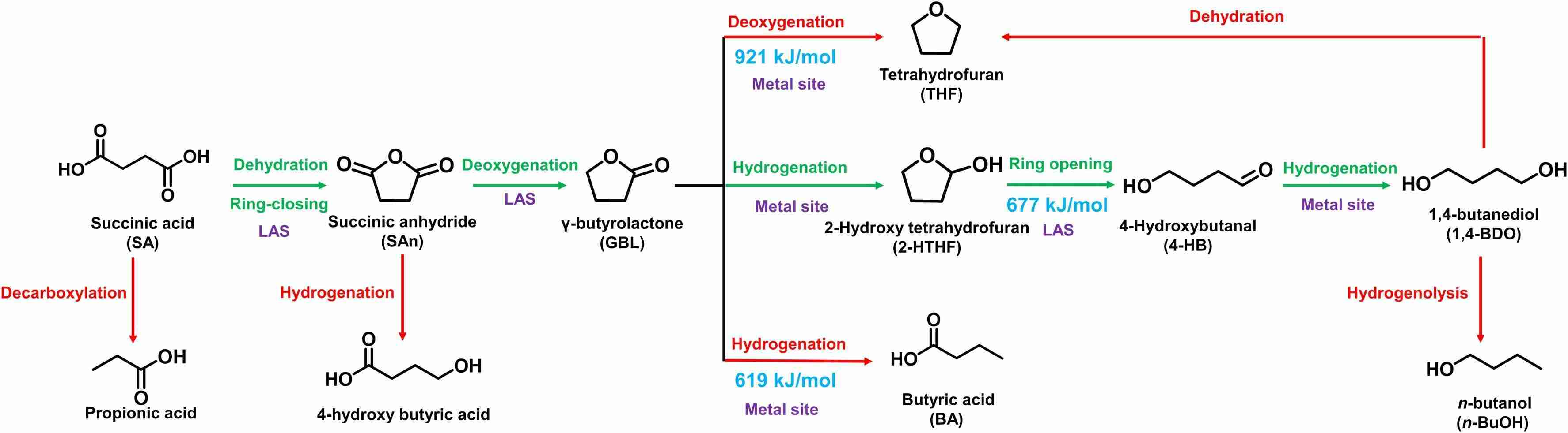 Succinic Acid Used in the High-Yield Direct Conversion to 1,4-Butanediol via Ru-OvZrOx Catalyst