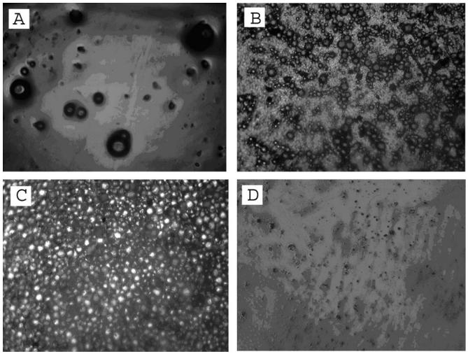 Synthesis of Butyl Acrylate-Styrene Emulsion Copolymer Using Sodium Lauryl Sulfoacetate (SLSA)