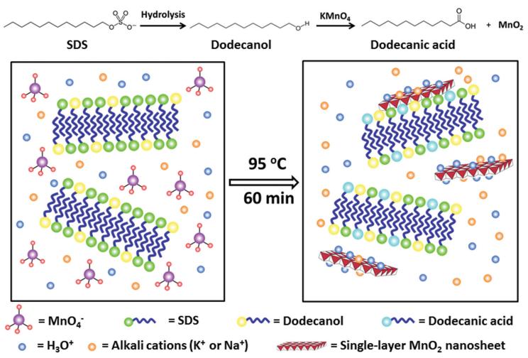 Synthesis of Monolayer MnO<sub>2</sub> Nanosheets Using Sodium Dodecyl Sulfate (SDS) in One Step