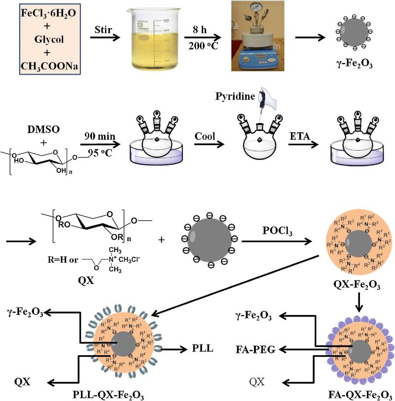 Synthesis of Polylysine-Modified Quaternized Xylan γ-Fe<sub>2</sub>O<sub>3</sub> Core/Shell Nanocomposites (QX-Fe<sub>2</sub>O<sub>3</sub>)
