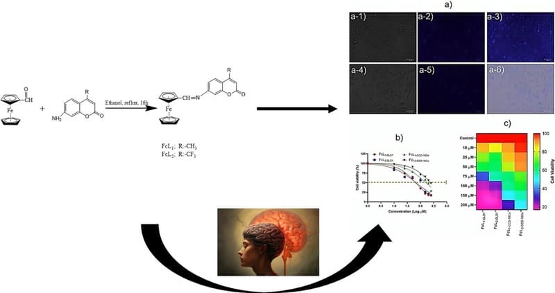 Coumarin Used for the Synthesis of Ferrocene-Coumarin Conjugates for Anticancer Applications