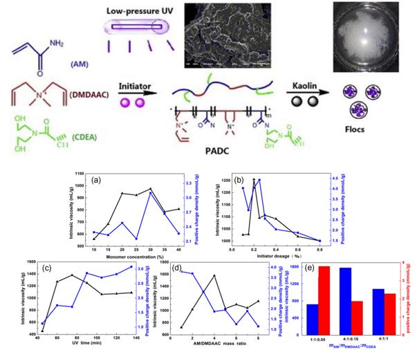 Synthesis of Cationic Polyacrylamide Flocculant by Low-pressure UV Initiation