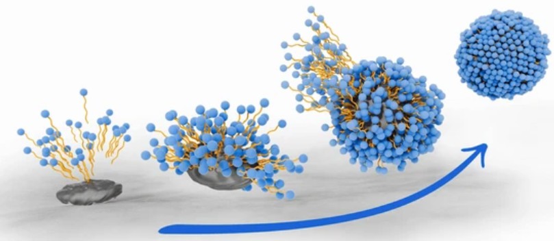 Amphoteric Surfactants used in Detergents