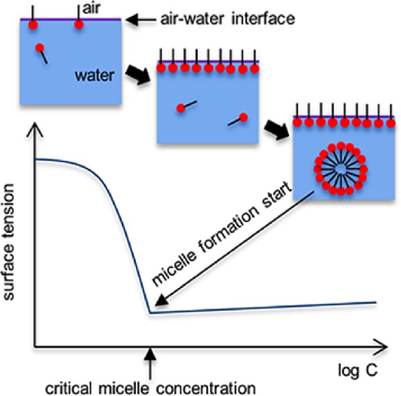 Surface tension curve vs surfactant concentration