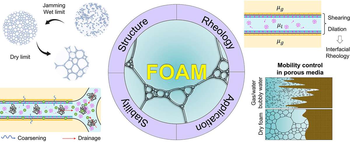 The properties of foams