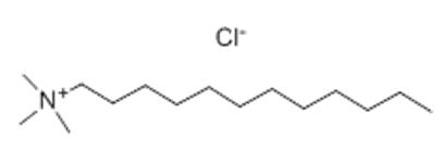 The Structure of Dodecyl Trimethyl Ammonium Chloride