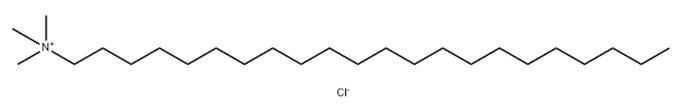 The Structure of Docosyltrimethylammonium Chloride