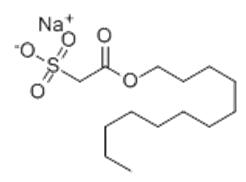 The Structure of Sodium Lauryl Sulfoacetate