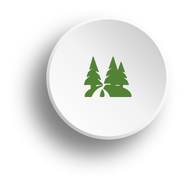 Green & Natural